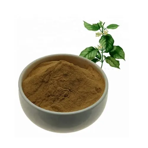 High Quality Factory Supply Natural Gymnema Sylvestre Extract Gymnema acid from India (THE ELITE HERBAL)