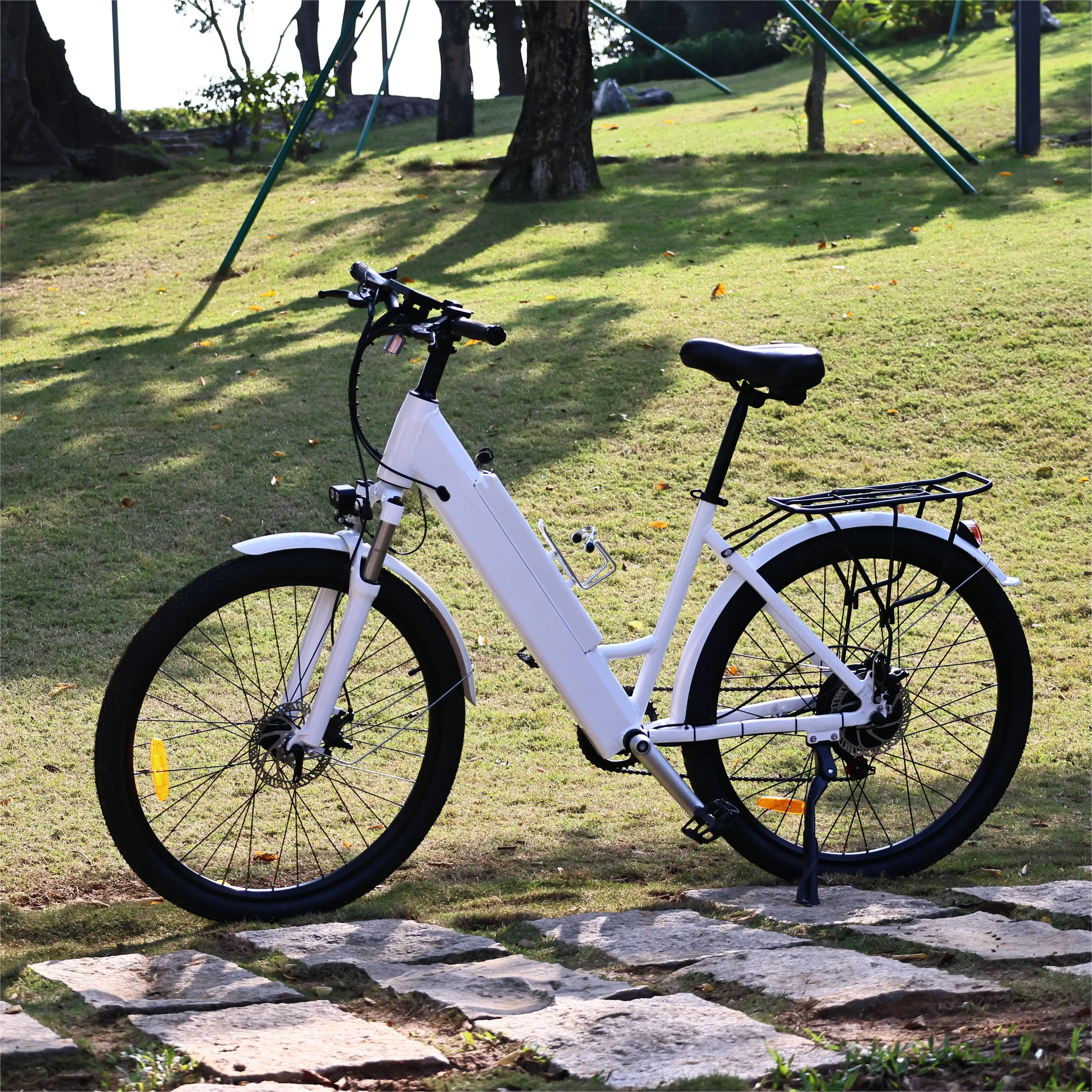 smart motor electric bike Torque basic PAS sensors pedal assistance 30-200 NM electric bike pedal assistant