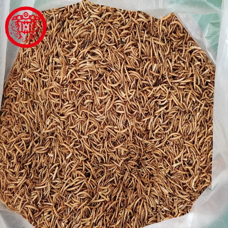 Factory High Quality Dried Tenebrio Molitor Mealworms Fish Pet Food