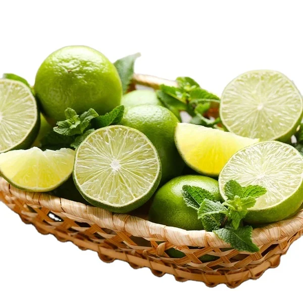 Wholesale Organic Green Lemon GREEN LIME SEEDLESS LIME