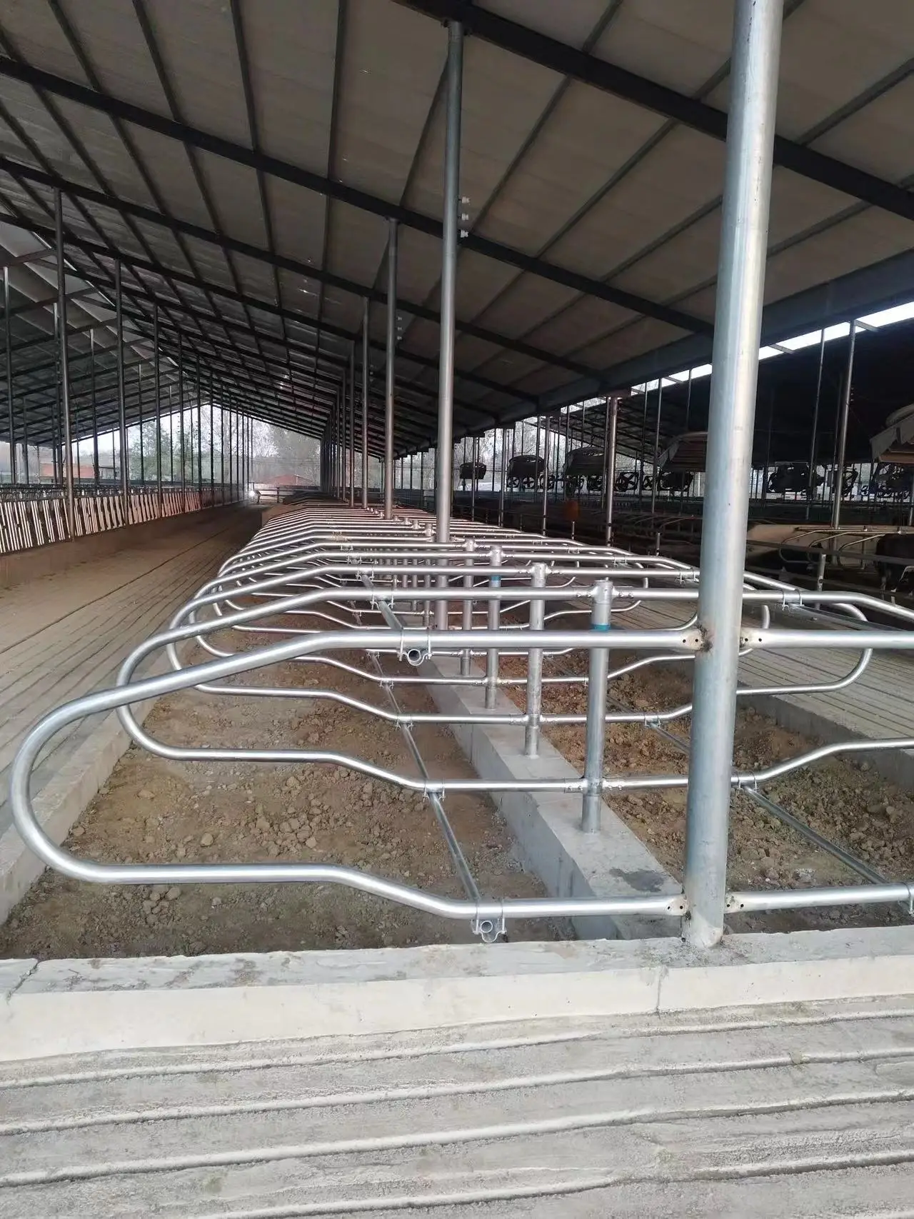 Dairy Cattle Stall Bed and Feeding Fence Cow and Calf Farm Gear Bearing Components for Poultry Field for Retail Industries