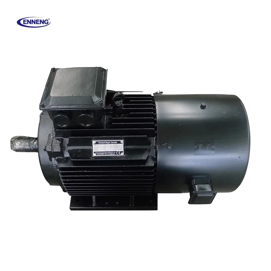 Enneng buy brushless direct drive permanent magnet synchronous generator for hydro turbine
