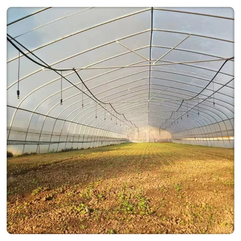 High Quality Tomato Agricultural Equipment Commercial Tunnel Single Span Greenhouse