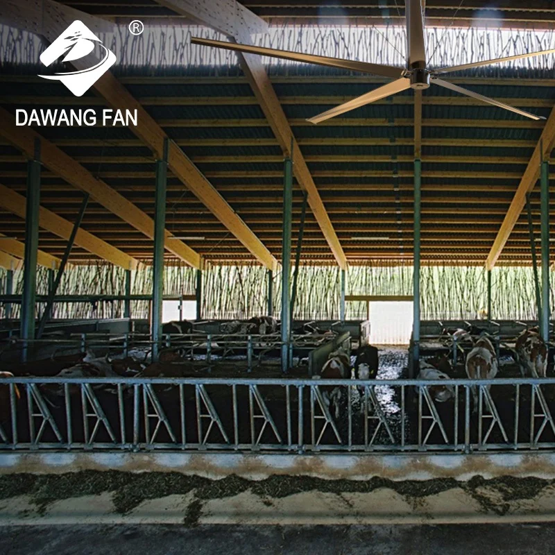 PMSM Motor Poultry 24ft Fan/ventilation Fan Axial Flow Fan AC Ceiling Fan High Volume, Low Speed 3 Years Aluminum 50HZ/60HZ