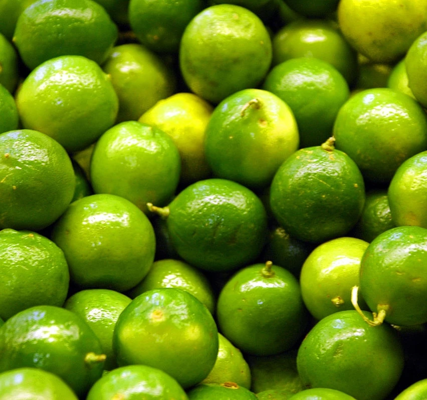 Хорошее качество 100% натуральный зеленый цвет без косточек зеленый лайм свежие цитрусовые из Вьетнама на экспорт