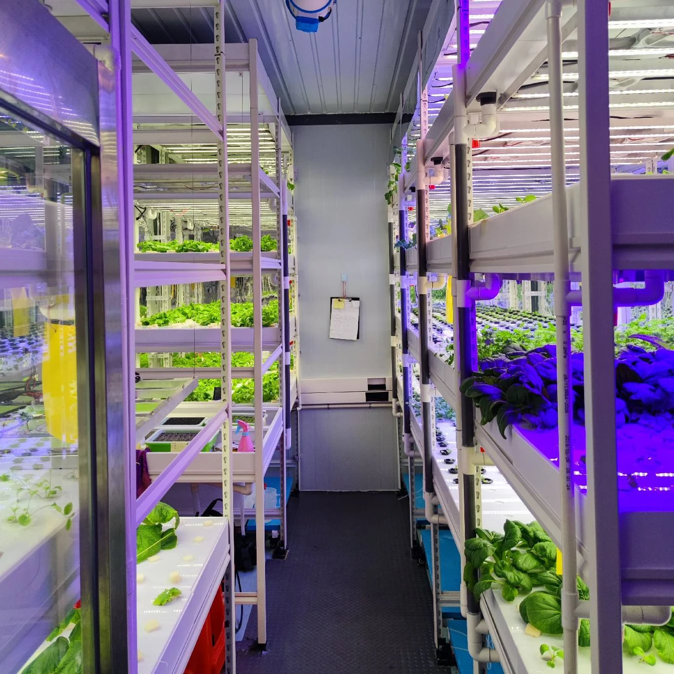 China Factory Indoor Plant Factory Hydroponic Grow Farm System with Customized Design