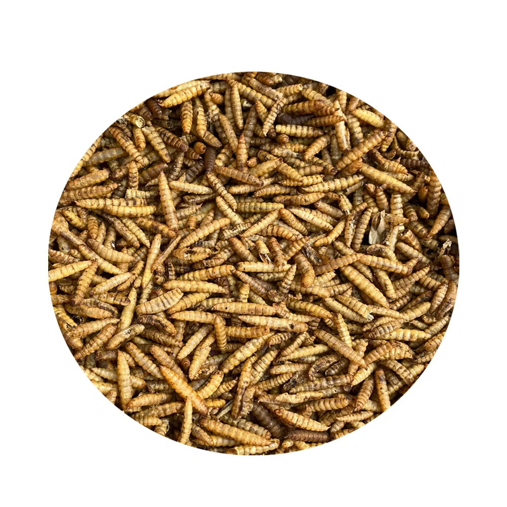 
cheaper High protein yellow dried black soldier fly for pet food 