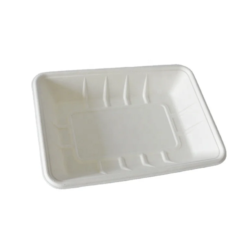 PFAS Free Disposable Sugarcane  rectangle  plant Sugarcane Bagasse Tableware Vegetable Fruit Meat Packaging Plate Tray T4