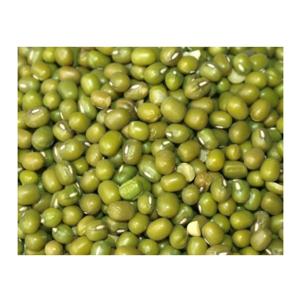 Direct Exporter Natural Organic Dried Raw Green and Red Mung Vigna Beans Bulk Order for Sale