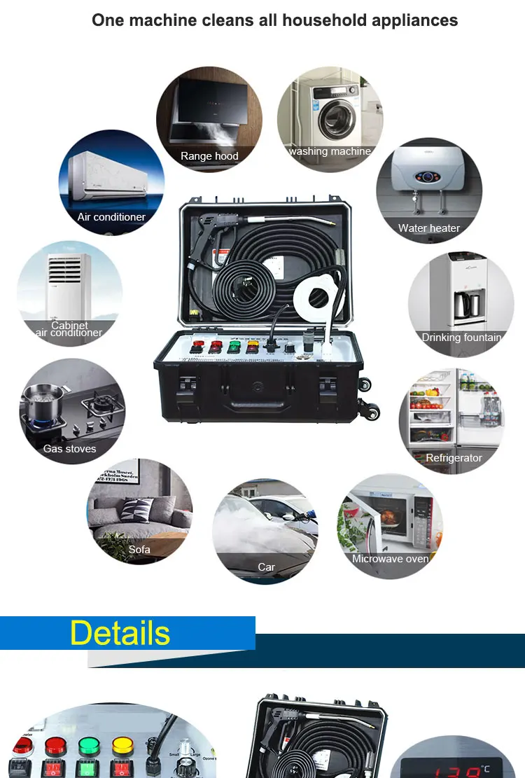 Electric portable household high pressure steam cleaner car washer air conditioner  cleaning machine sterilization equipment