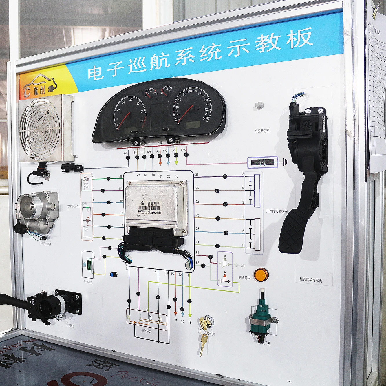 Automotive Training Equipment Car Electronic Cruise Control System Trainer School Laboratory Equipment