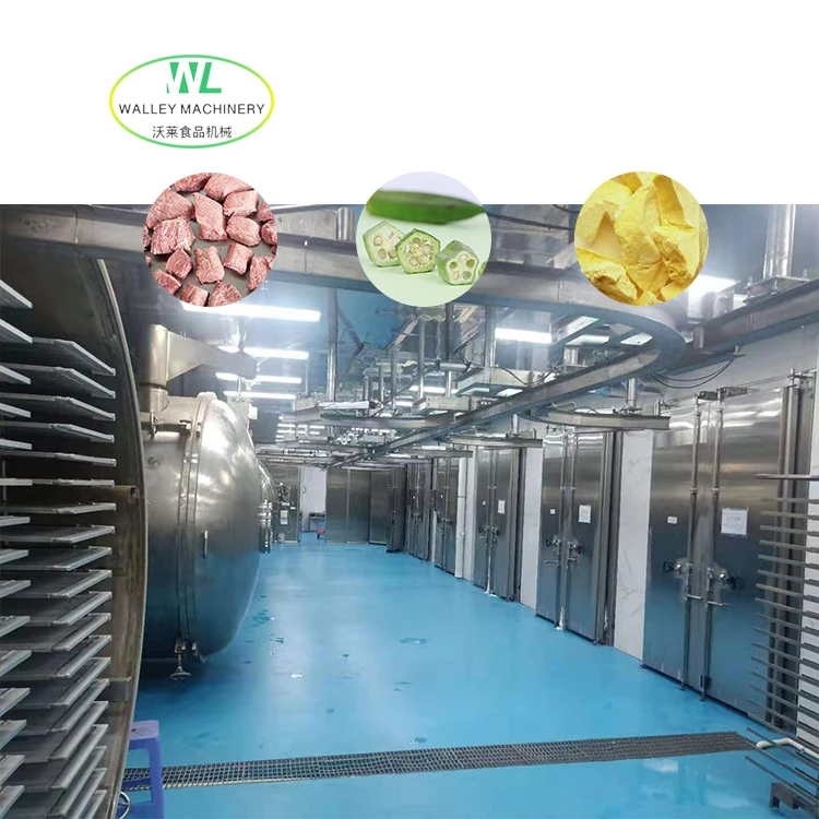 Hot Sale Large Scale Industrial Vacuum Freeze Dryer for Sweet Corn Food Lyophilizer Strawberry Freeze Drying Equipment