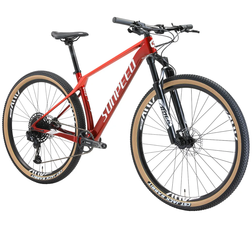 2022 ot sell  29 inch Bicycle 12 Speed carbon  Mountain Bike  bicycle