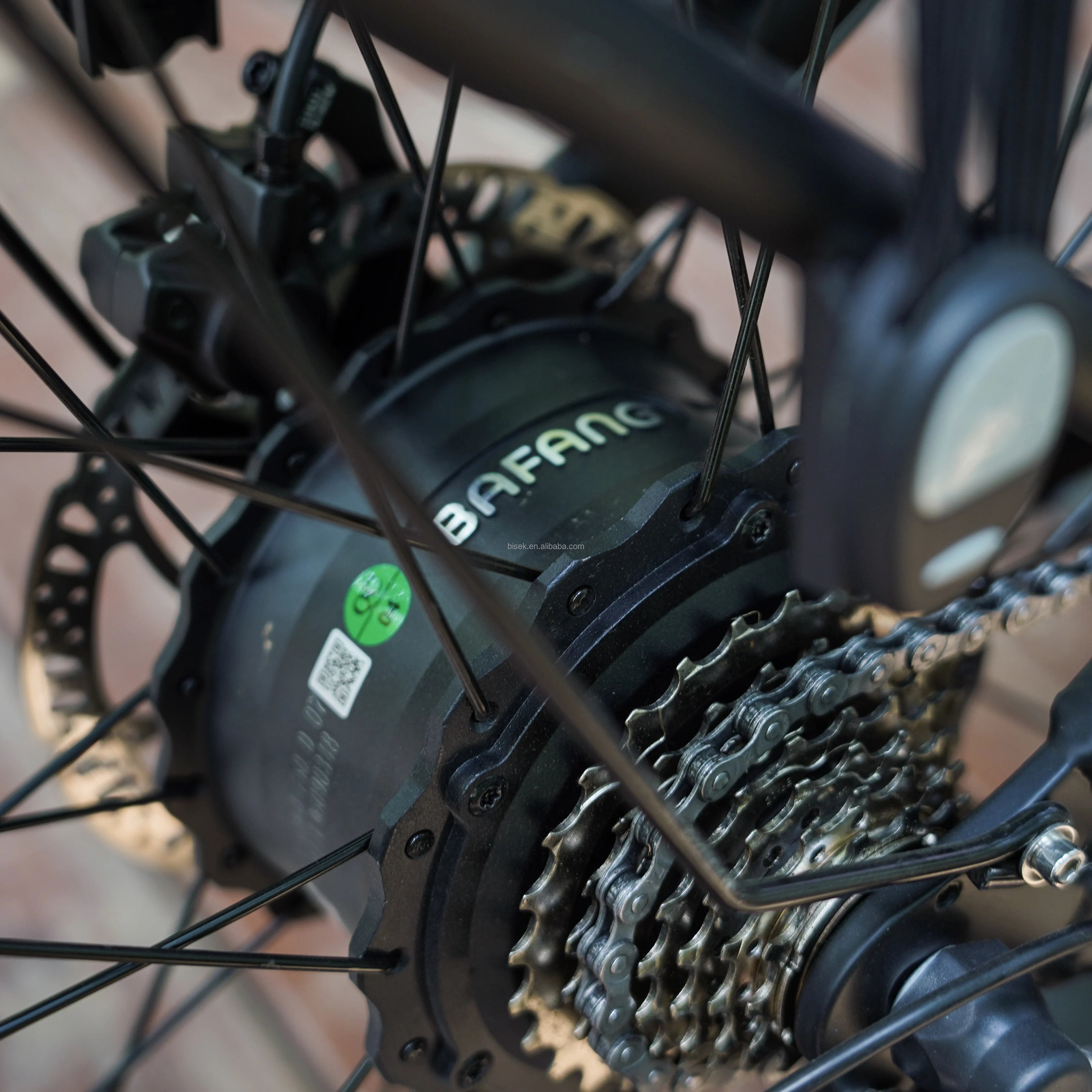 High Quality OEM 250W 500W 750W Electric Cafe Racer Bike Hot Product From China 48v Voltage Configuration for Adults