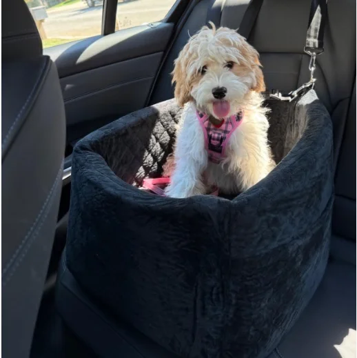 Booster Dog Car Seat Luxury Dog Travel Bed Pet Car seat  with Elevated Cushion & safety belt and dog leash inside