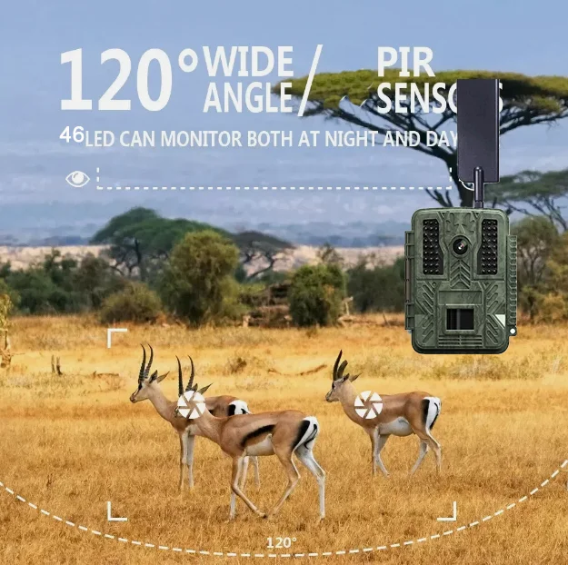 BST886C 2.4Inch TFT CMOS 36MP 1080P No Glow Outdoor Hunting Camera Night Vision Monitoring Trail Camera