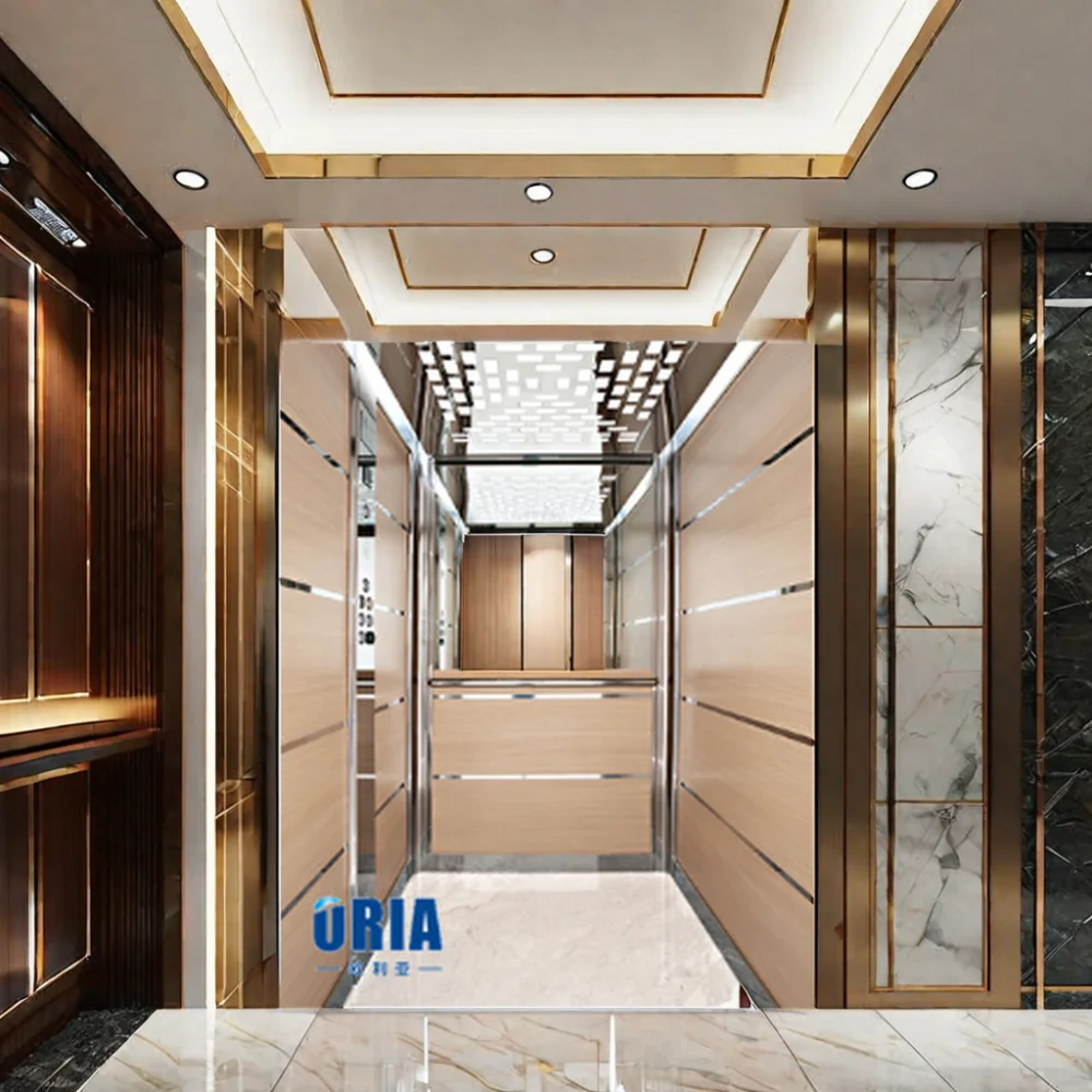 ORIA 1000kg passenger elevator residentiel elevator passenger elevator price Hotel passenger elevator