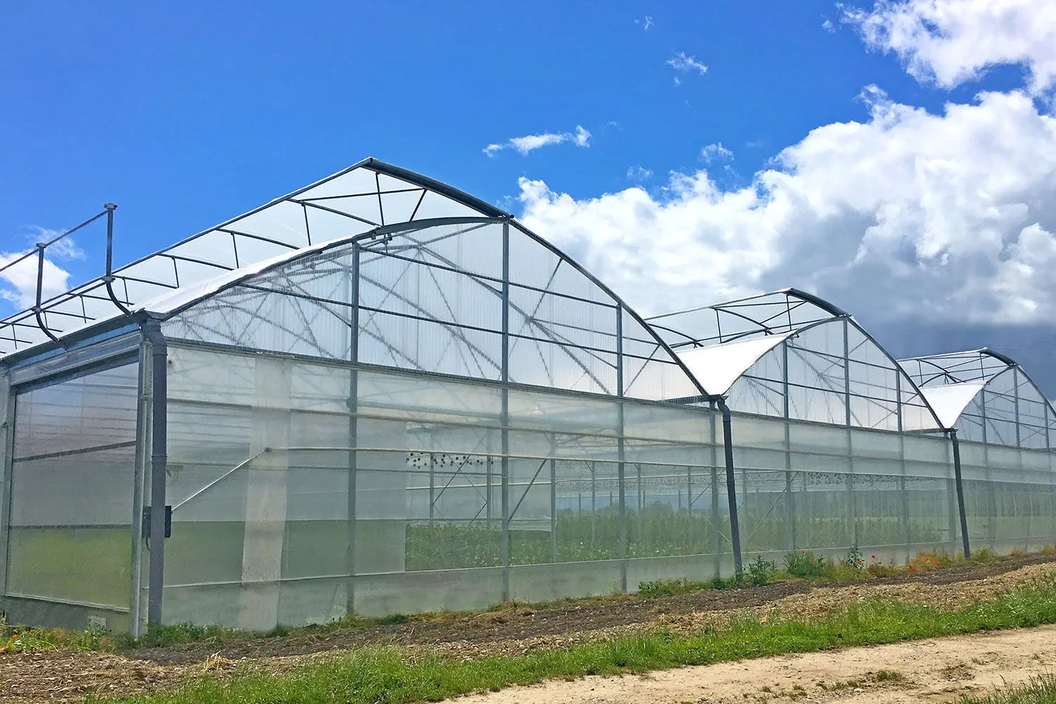 One-one Multi span irrigation system and intelligent control system film greenhouse