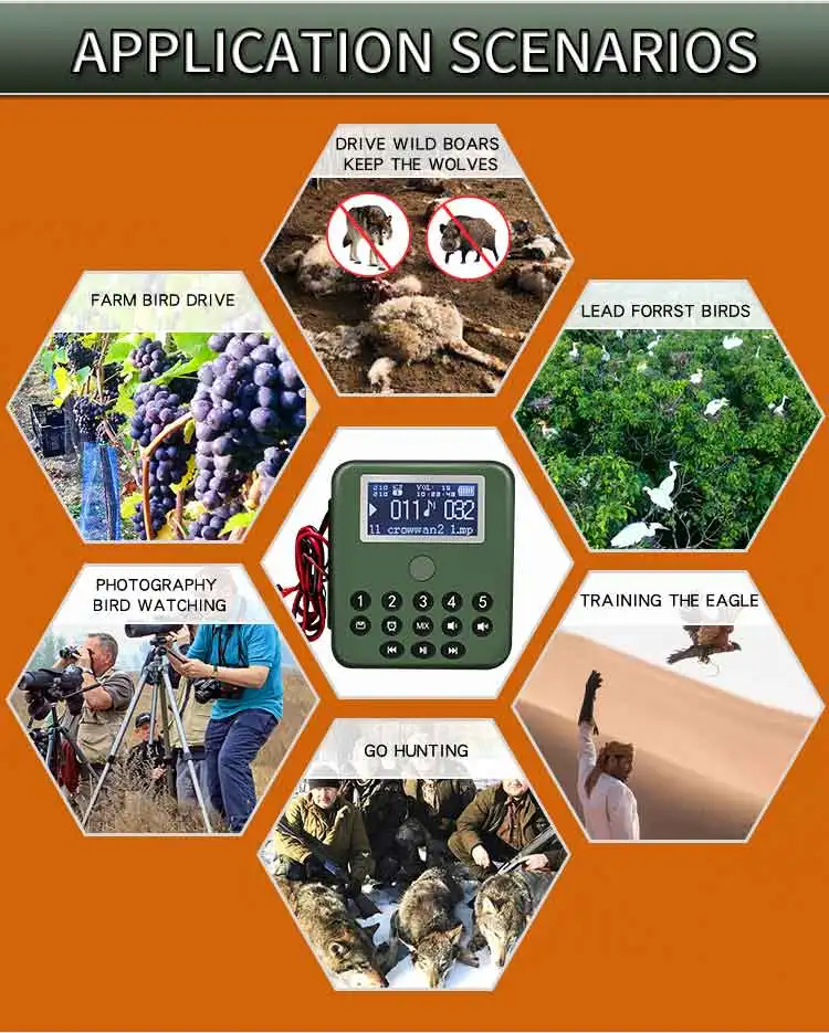 750CSW-799_04 - .jpg