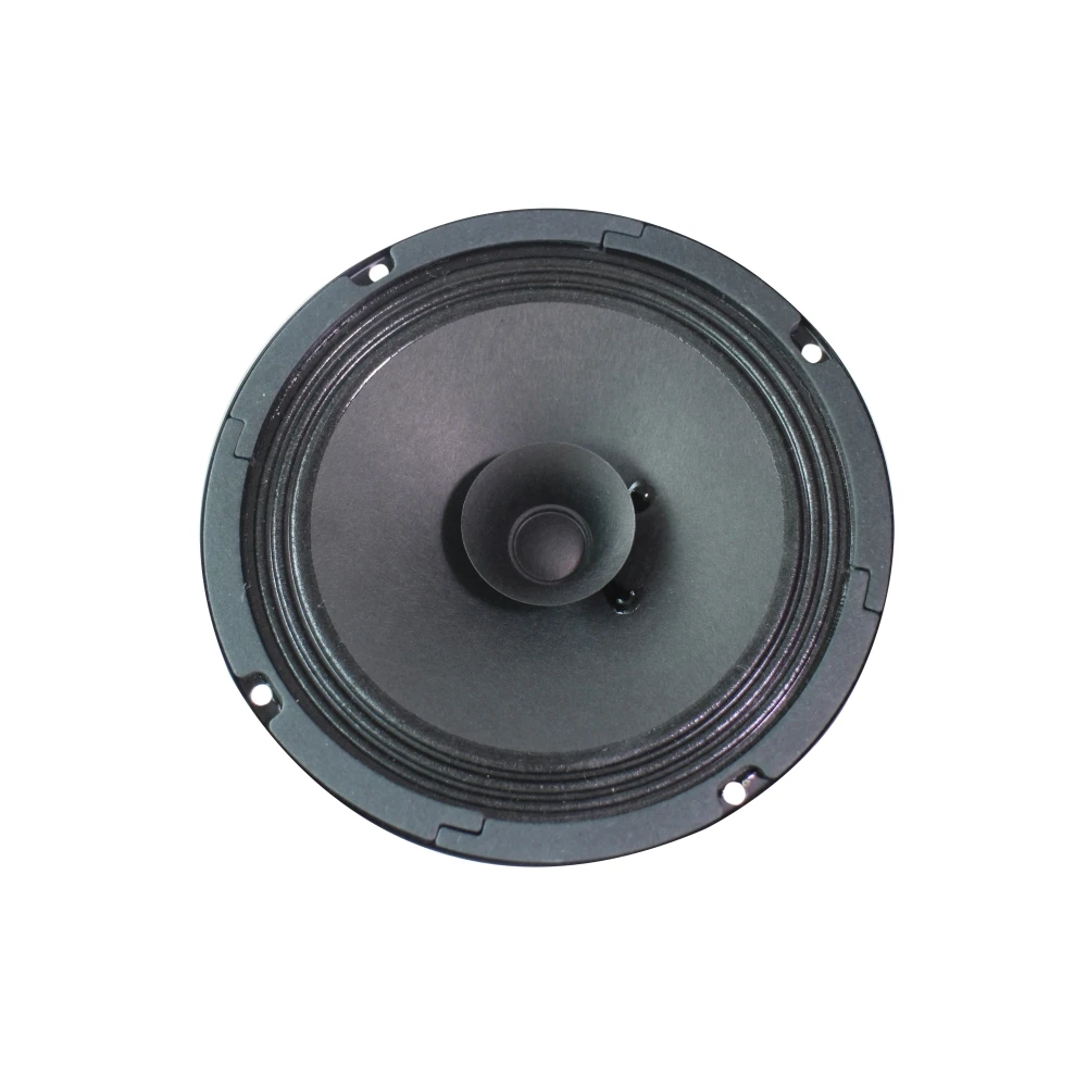 6.5 inch Rated Power 20W Speaker driver for PA  System