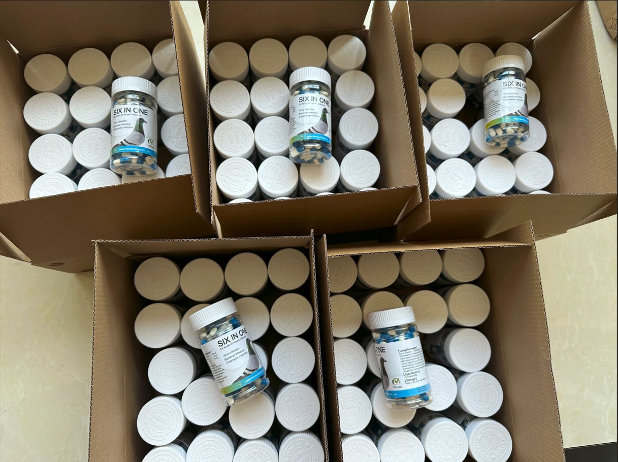 victory pills racing pigeon product for intestinal health protection supplement six in one  capsules