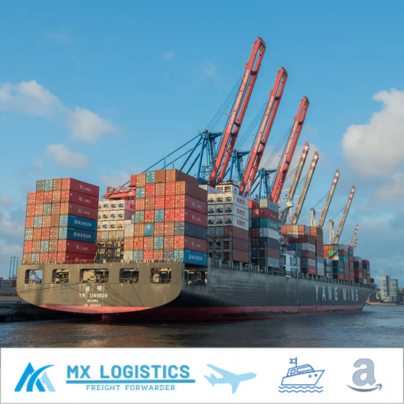 LCL Ocean Cargoes China Forwarder to Singapore Door to Door Good Clearance Lowest Price FCL DDP DDU Professional Free Storage