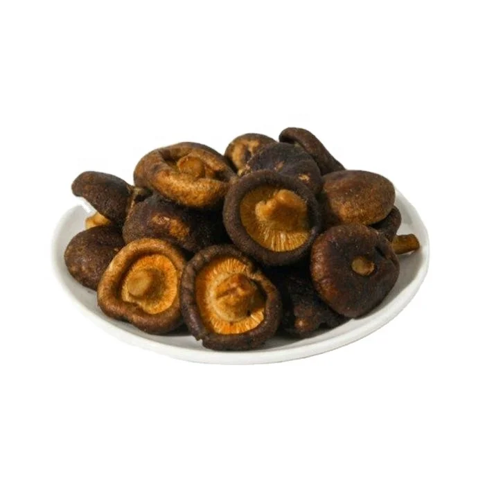 Low Temperature Vacuum Fried Vegetable Seeds Mushroom Growing Kit