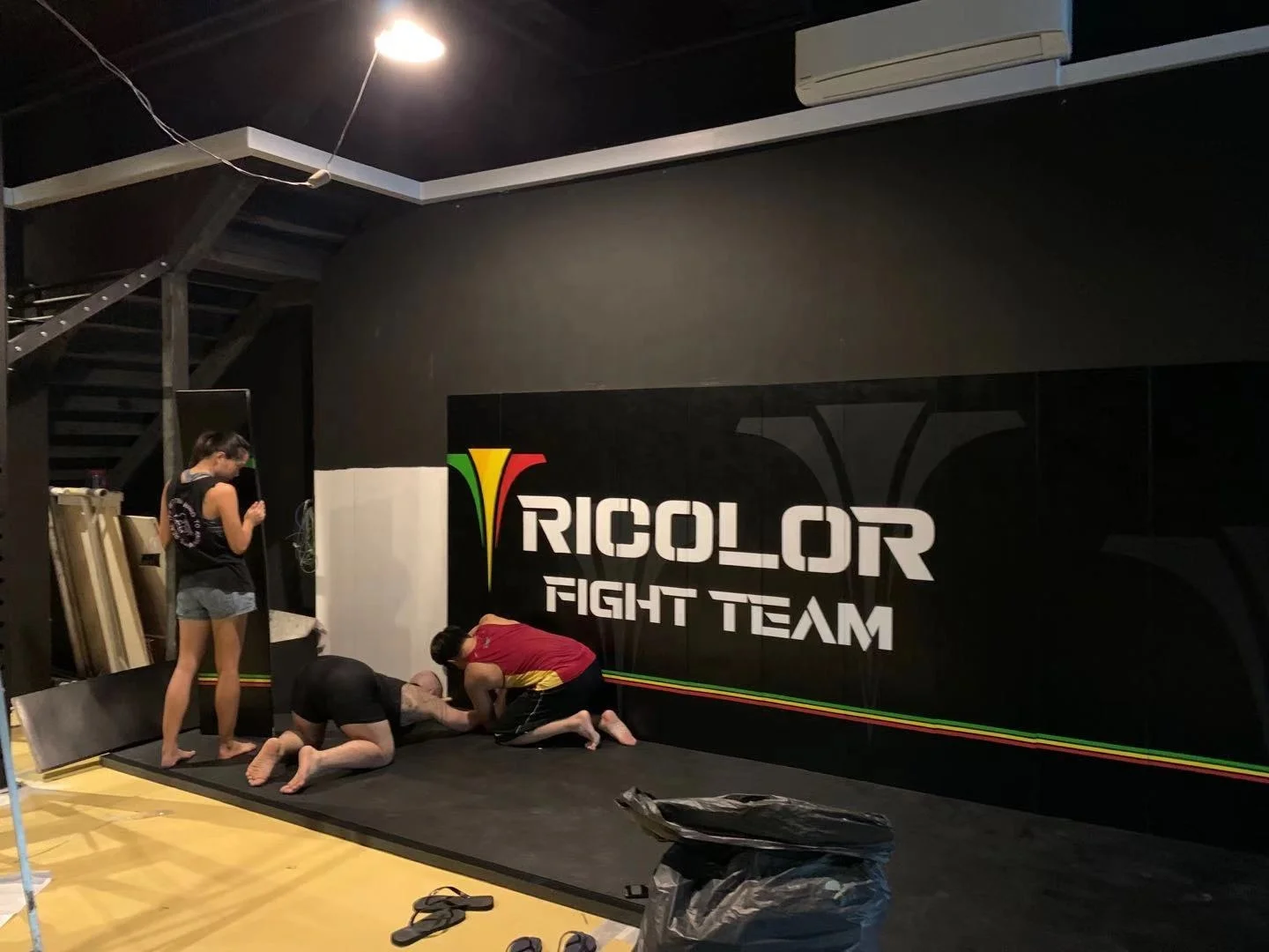 wall padding gym wall protection pad for gyms