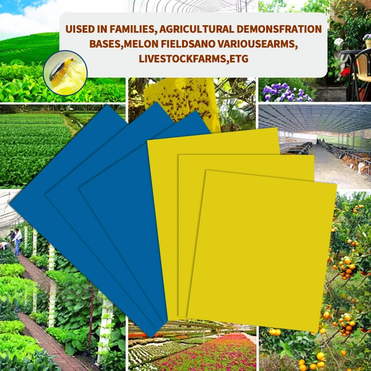 Greenhouses Pest Killer Glue Fruit Fly Catcher Yellow Sticky Trap