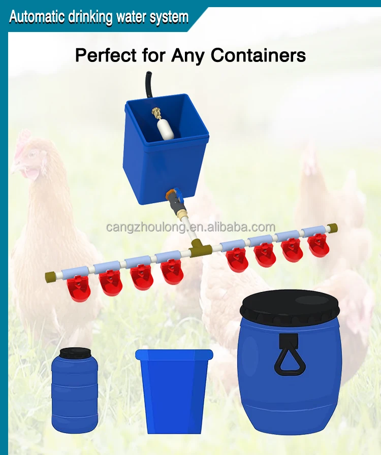 ZB DIY Automatic Backyard Chicken Baby Chick Drinker Complete Set Pipeline Hanging chicken drinker
