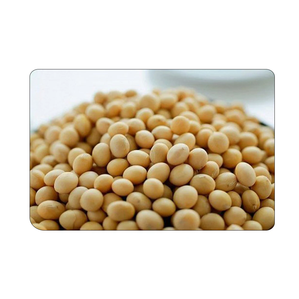 
Food Grains Organic Soybean Seeds 