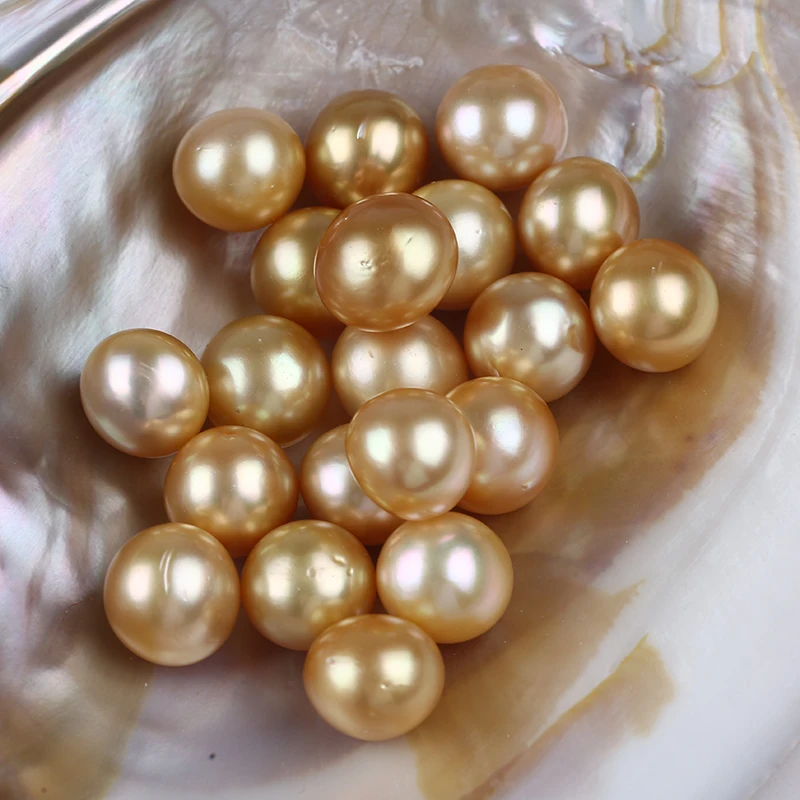 Wholesale AAA 13-13.5mm Gold Color Round Freshwater Loose Beads Pearl