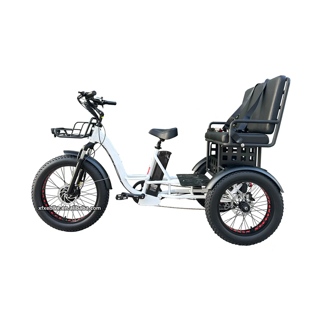 Large Capacity Tricycle 48V 19.2Ah Electric Cargo Bike 750W Rear Hub Motor 24Inch 3 Wheel Far Tire Trike electric tricycles