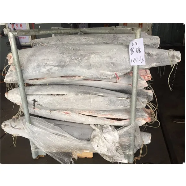 Natural fresh frozen  seafood exported blue marlin fish