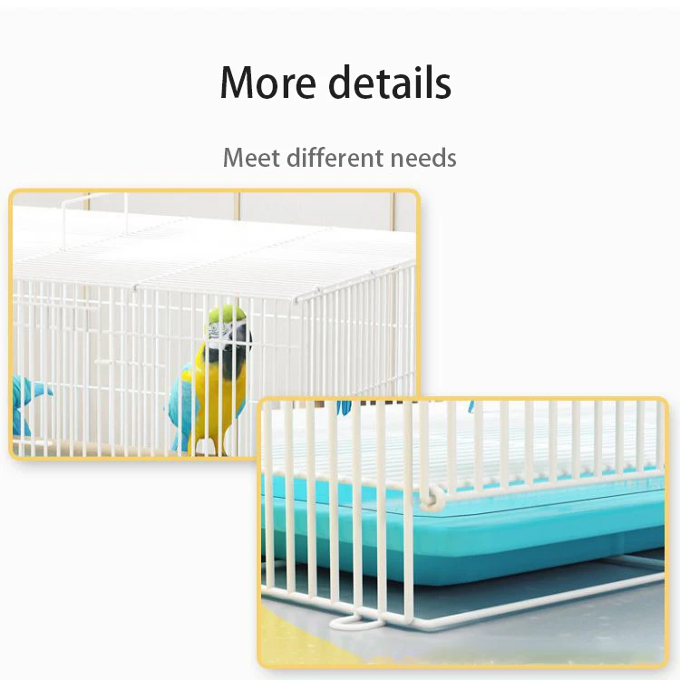 Wholesale quail parrot bird cage with feeder metal pet cage bird iron cage