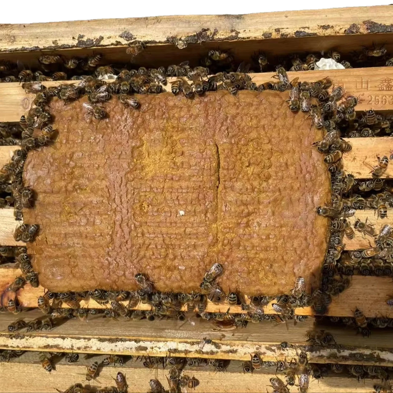 Высококачественный пчелиный корм премиум-класса с натуральным заменителем пыльцы производство из Китая