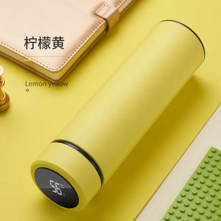 Special new Fahrenheit cheap stainless steel Smart Water Bottle with LED Temperature Display Thermo tumbler cups in bulk