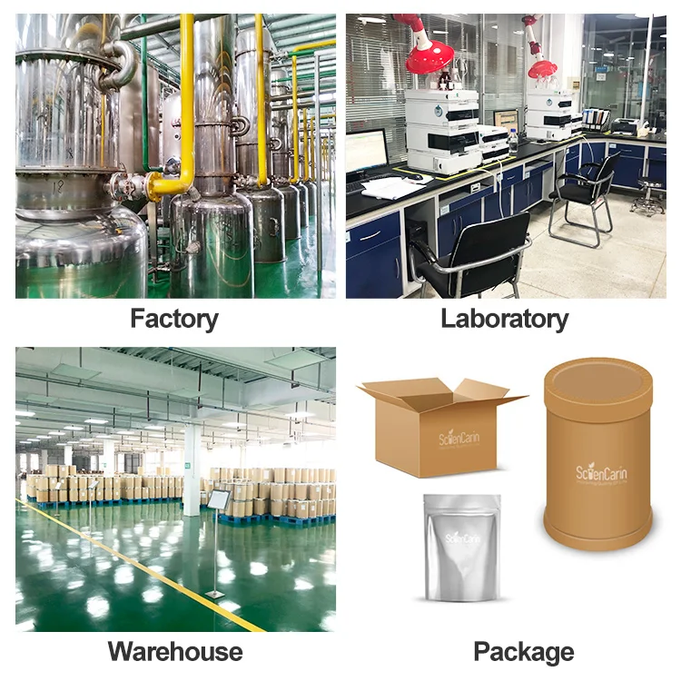 silicon dioxide Powder