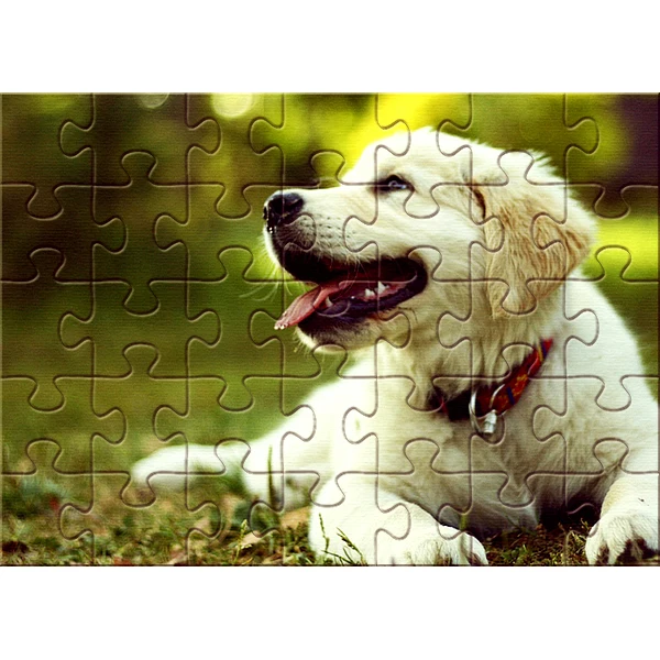 Eco-friendly Paper Brain Teaser 3D 1000 Pieces Animal Jigsaw Puzzle Custom For Adults