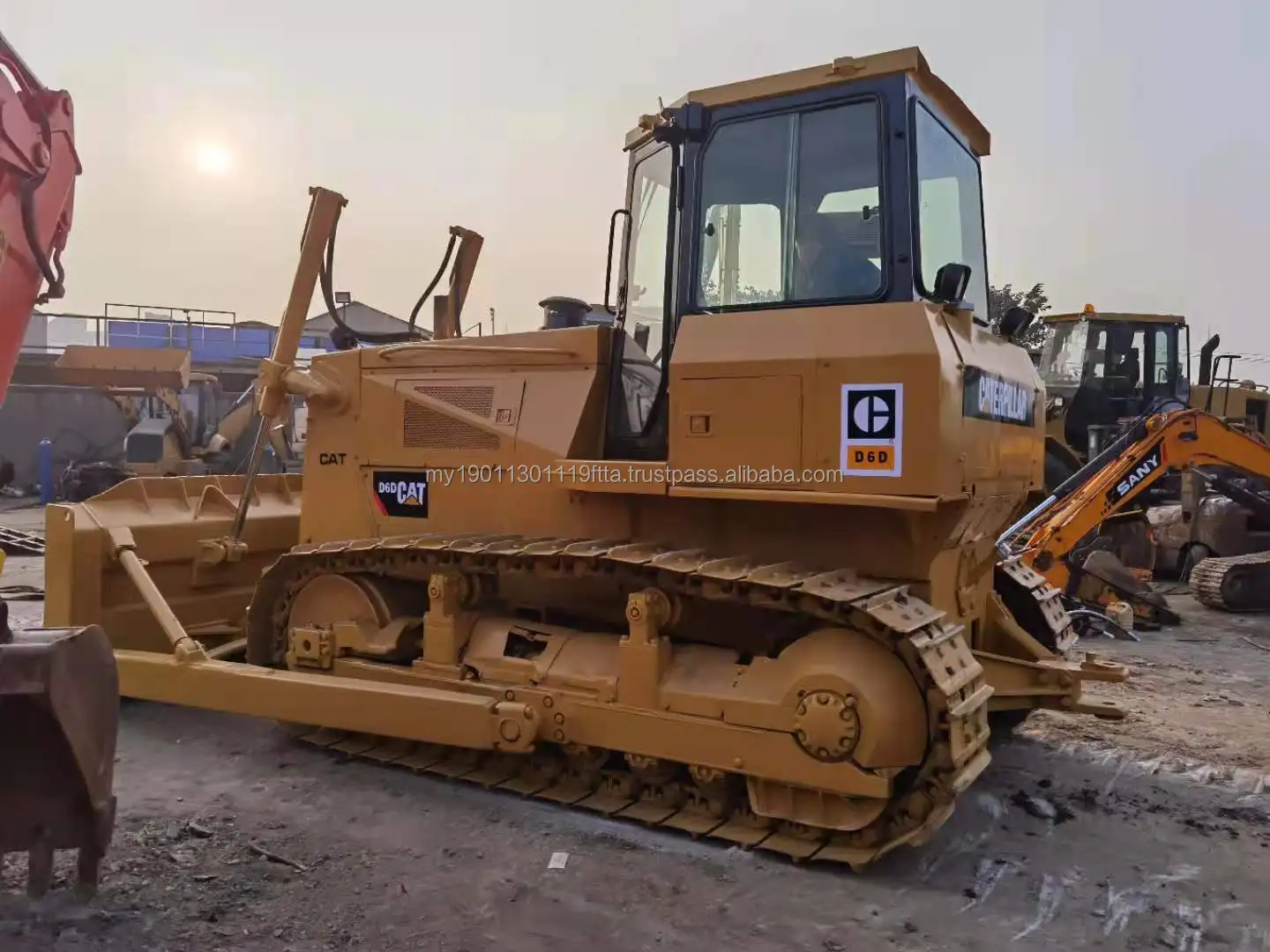cat d6d (4).jpg