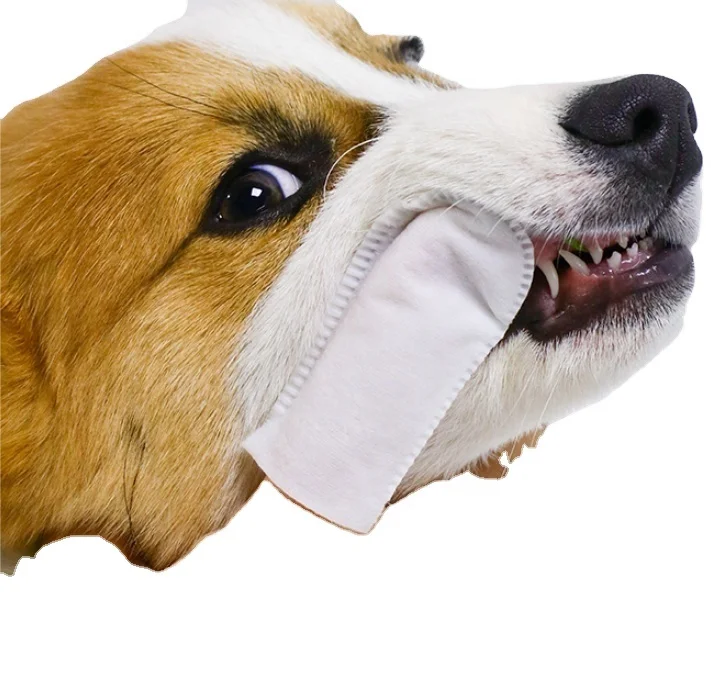 eco-friendly ecologic nature natural pet wet tissue wipes  custom batch order procurement pet wet wipes