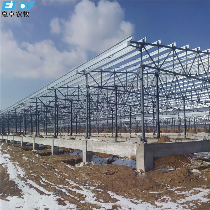 Industrial Poultry Shed Prefabricated Structural Steel Building Chicken House