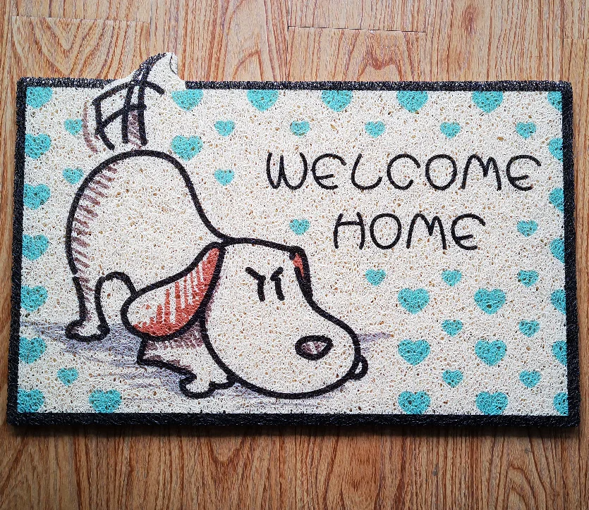 Household Entrance PVC coil  Front Door Mat indoor Outdoor Rug Non-Slip waterproof Welcome hallway Doormat pet dag cat door mat