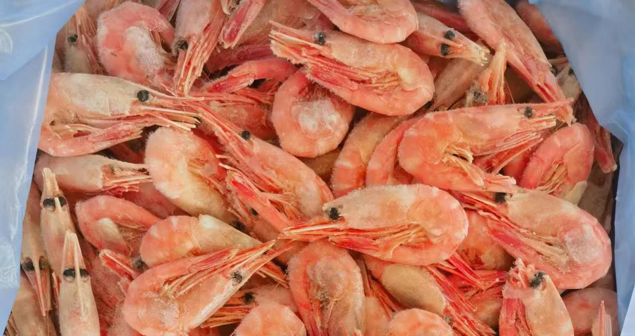 Cold water frozen shrimp to Russia