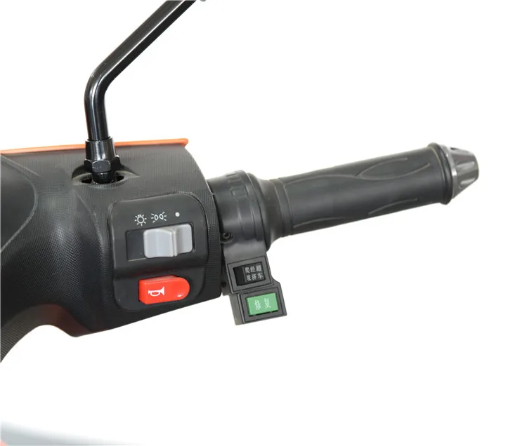 2024 Hot Sale Electric Scooter Bike High Power E Motorcycle 1000W 60V Electric Moped For Adults