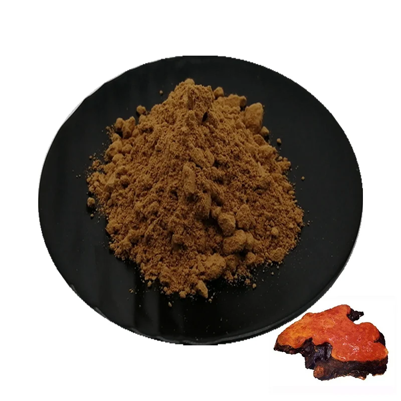 Antrodia Polysaccharide Powder Hot Sale Organic Antrodia Camphorata Extract