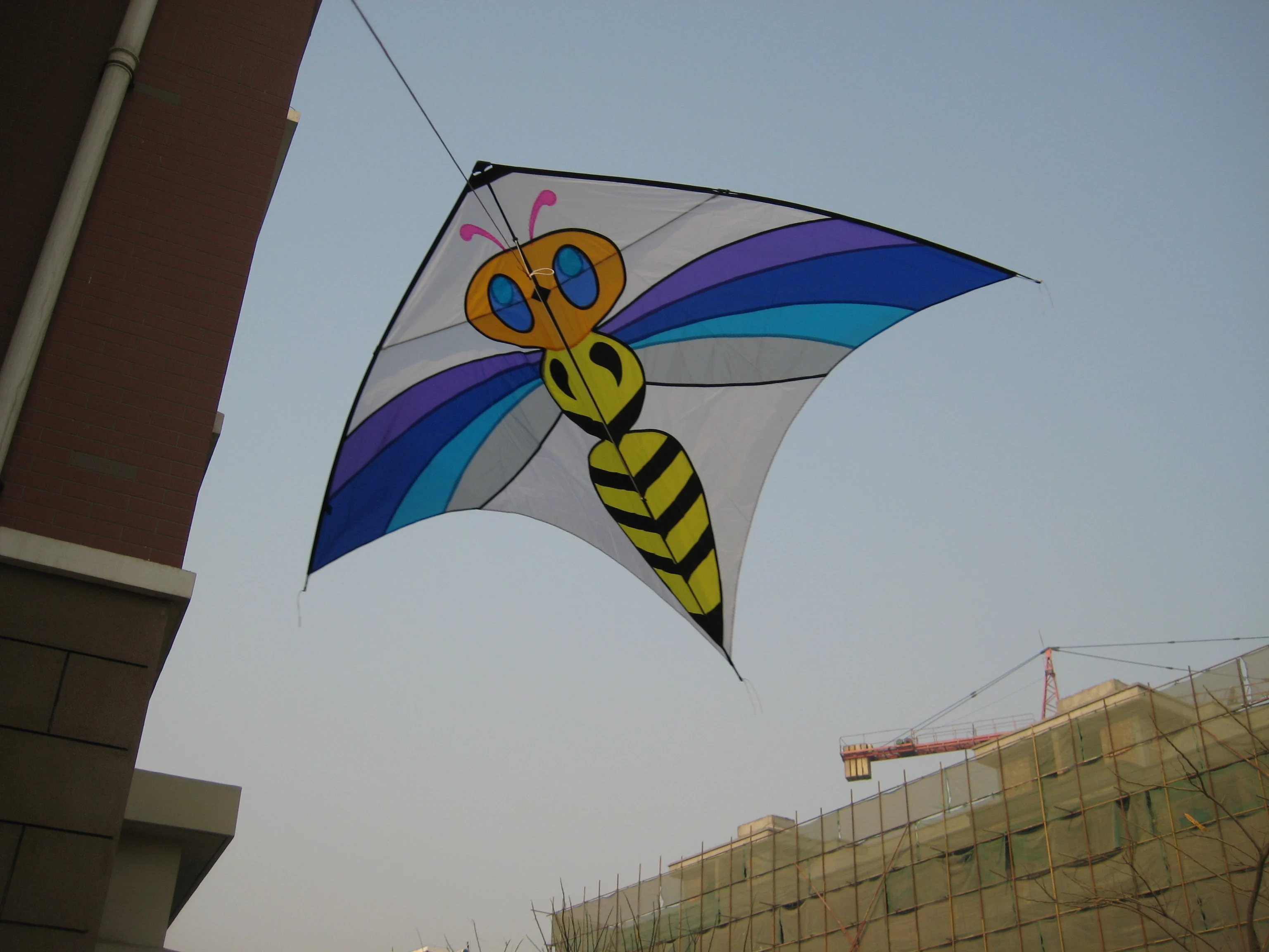 Factory Direct Big 3D Kite For Flying