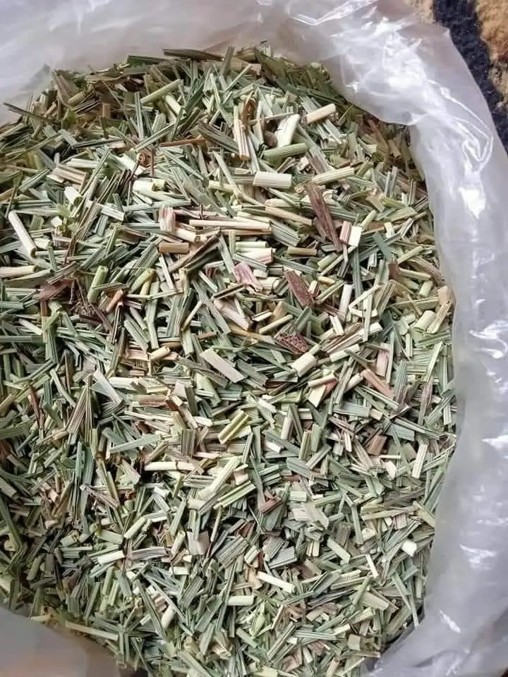 High Quality Dried Lemongrass Fast Global Export Directly From Our Farms in Egypt Strict Supervision Popular Raw Processing