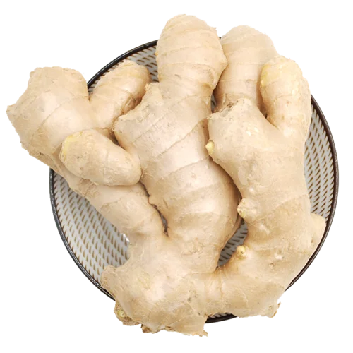 Low price fresh ginger dry ginger good quality fresh ginger