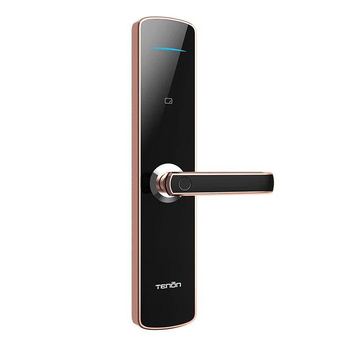 Tenon E3c Keyless Intelligent Biometric Fingerprint Door Lock Digital Lock